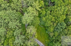 Pine View Drive, PIPESTEM, WV 25979