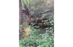 Goose Creek Road, Burkesville, KY 42717