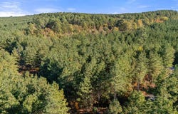24 Cedar Tree Trail, Broken Bow, OK 74728