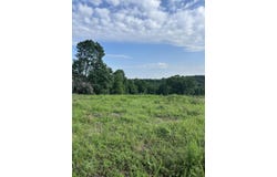 000 Terrace Lane, Cape Fair, MO 65624