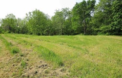 2525 Kenison Way, Iowa Falls, IA 50126