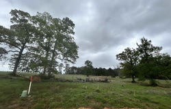 lot 203 Overhill Court, Hillister, TX 77624