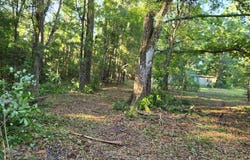 2709 KRISTI Court, Middleburg, FL 32068
