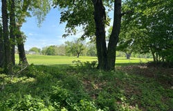 248 CLUB HOUSE DRIVE, WILLINGBORO, NJ 08046