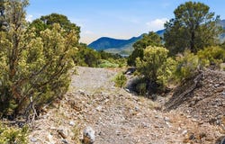 155 Oak Trail Circle, Cold Creek, NV 89124