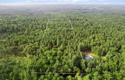 7278 E 6 Mile Road, Luther, MI 49656