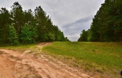Nevada 161, Willisville, AR 71864