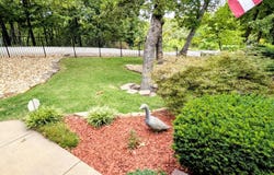 148 Crown Drive, Branson West, MO 65737