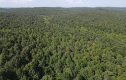 696 Old Highway 66, Leslie, AR 72645