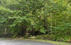 87 Par Four Drive, Auburn, ME 04210