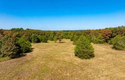 Stanfield Road, Smithville, AR 72466