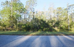 PINE LAKES PARKWAY, PALM COAST, FL 32164
