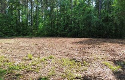 CEDAR SHORES DRIVE, SYLACAUGA, AL 35151