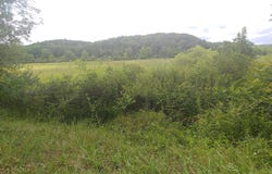 BEAR HILL ROAD, OLDTOWN, MD 21555