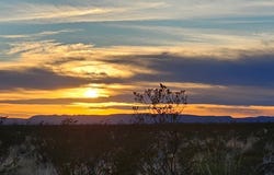 251 Warnock Rd, Terlingua, TX 79852