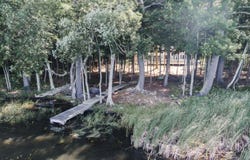 107 Shady Lane, Newport, ME 04953