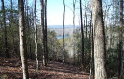 600 Berry Patch Road, MURPHY, NC 28906