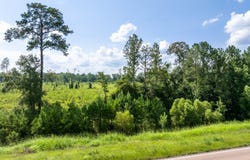 8.4 MOL AC I-45, Shubuta, MS 39360