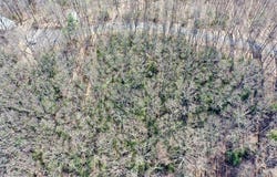 Tbd Crooked White Oak Trail, Hillsville, VA 24343