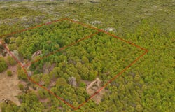 3284 N Flynn Road, Luther, MI 49656