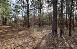 Tract 3 Venus Rd, White Oak, TX 75693