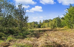 1985 Snake Hollow Road, Greeneville, TN 37743