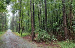 Tbd Jahue Lane, Pittsboro, NC 27312