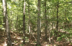 0 CR-66, Goodwater, AL 35072