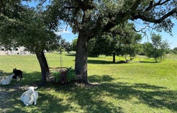 495 FM 2005, Goldthwaite, TX 76844
