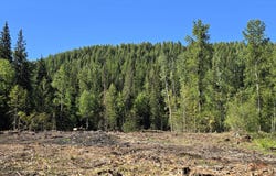 Nna Old Highway Two Loop, Moyie Springs, ID 83845