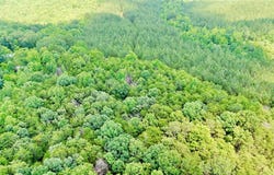0 County Road 325, Double Springs, AL 35553