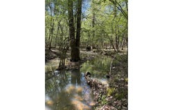 Brooks Road, De Queen, AR 71832