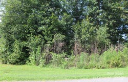 3143 2nd Street, Valdese, NC 28690