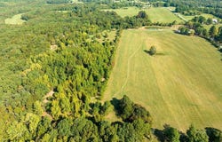 65 Five Mile Rd., Drasco, AR 72530-0000
