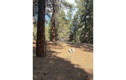 Pine Ridge Loop lot: 5, Chiloquin, OR 97624
