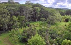 13-3980 PAHOA KALAPANA RD, Pahoa, HI 96778
