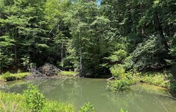 Staghorn Road, Purlear, NC 28665