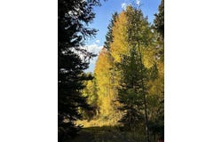 TBD Tract 13 County Road 5, Ridgway, CO 81432