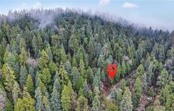 642 Rose Quartz Road, Cedar Glen, CA 92321