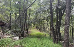 0 FIRE TOWER ROAD, GREAT CACAPON, WV 25422