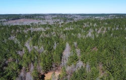 0 Graham Rd., Samantha, AL 35475