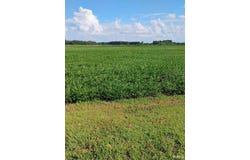 TBD 550N Road, Grovertown, IN 46531
