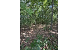 TBD Tejas Dr, Garrison, TX 75946