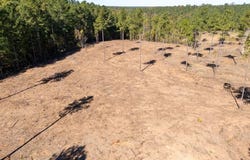 1.41 AC Millville Road, Lawrenceville, VA 23868