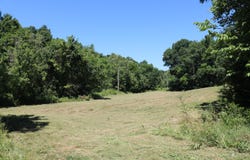 1-A Dog Walk Road, Carlisle, KY 40311