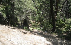 0 Forest Lane, Twin Peaks, CA 92391