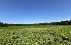 1 County Road 75 North, Ashford, AL 36312