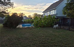 11016 N Highway 170, Farmington, AR 72730