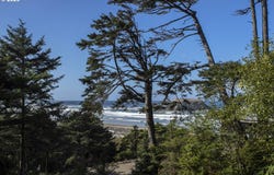 79519 RAY BROWN Rd, ArchCape, OR 97102