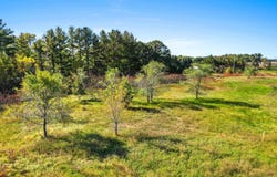 N157 COUNTY ROAD W, FREMONT, WI 54940